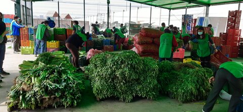 Rescuing discarded food from markets to feed thousands in Peru