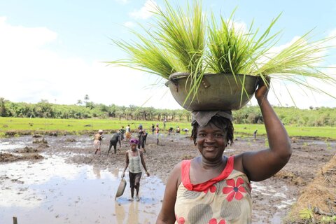 In the swamps of Sierra Leone, rural women plant seeds of peace
