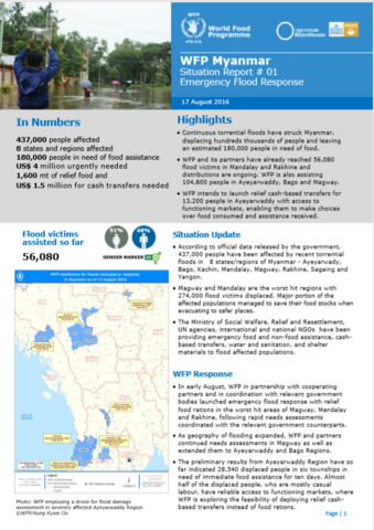 Situation Report - Myanmar
