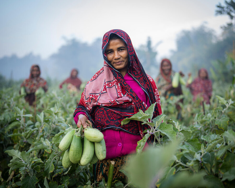 A woman stands in a field with eggplants in her hand, other women are visible in the background.