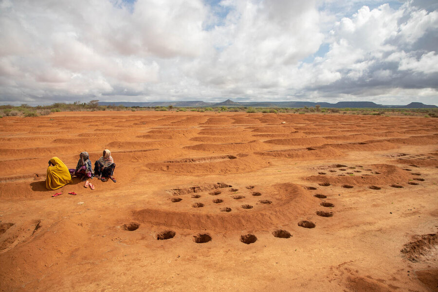 Digging half-moon shapes helps land rehabilitation by helping to retain water in Elan, in Ethiopia's Somali region. Photo: WFP/Michael Tewelde