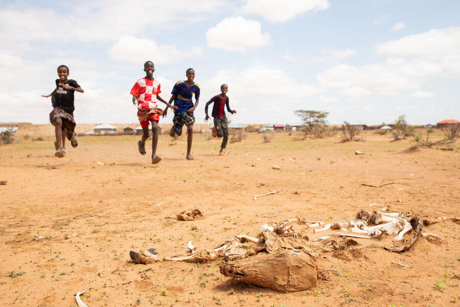 Livestock carcasses are strewn across open spaces in Danan point to the pressures on pastoralists. Photo: WFP/Michael Tewelde