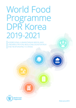 2019 - DPR Korea Interim Country Strategic Plan 