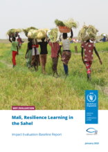 Mali, Resilience Learning in the Sahel: Impact evaluation