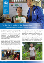 WFP Laos - Cash Distributions for Household Nutrition - 2022